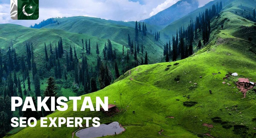 Top Seo experts in Pakistan