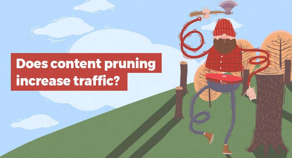 Organic traffic growth chart after a content pruning project