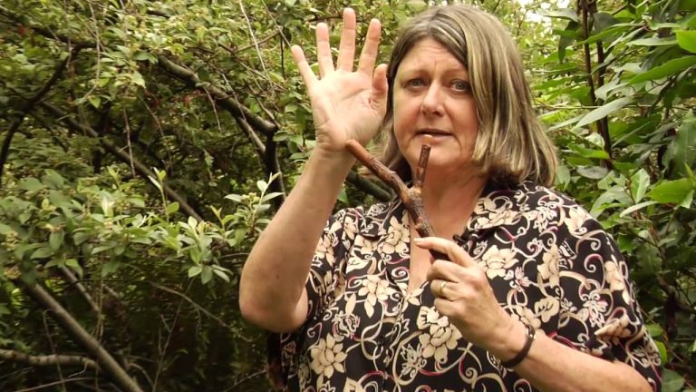 how to review, remove, or refresh content pages