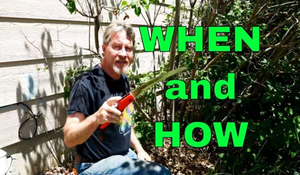 What Is Content Pruning And How To Do It In USA